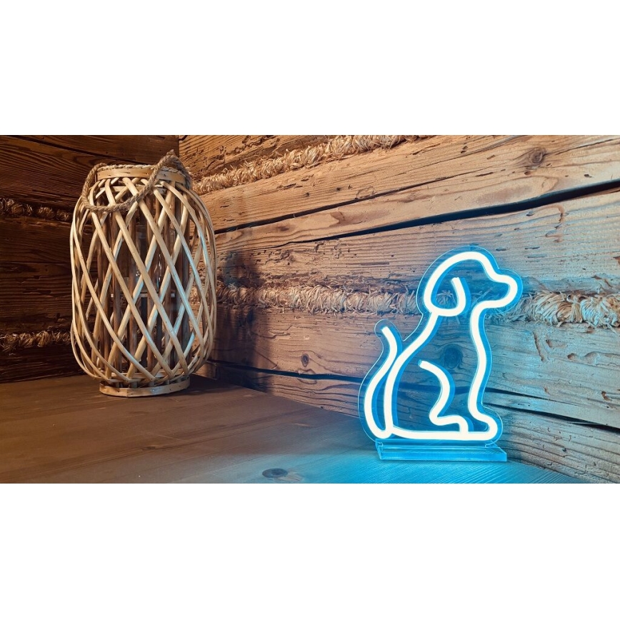 2Kids Toys - LED Neon Tischdekoration LED/5W/USB Hund