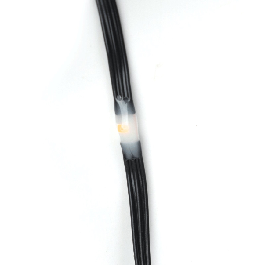 Aigostar - LED Außen-Weihnachtslichterkette 100xLED/8 Funktionen 3xAA 10,3m IP44 warmweiß