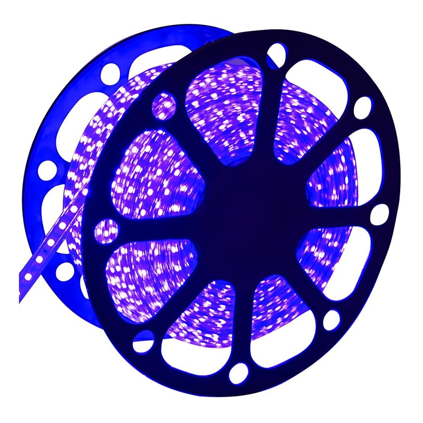 Aigostar - LED Außenband 50m LED/300W/230V blau IP65