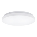 Aigostar - LED-Deckenleuchte LED/24W/230V 3000K Durchmesser 38 cm