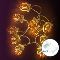 Aigostar - LED-Weihnachtslichterkette 20xLED/3xAA 3m warmweiß Handschuh