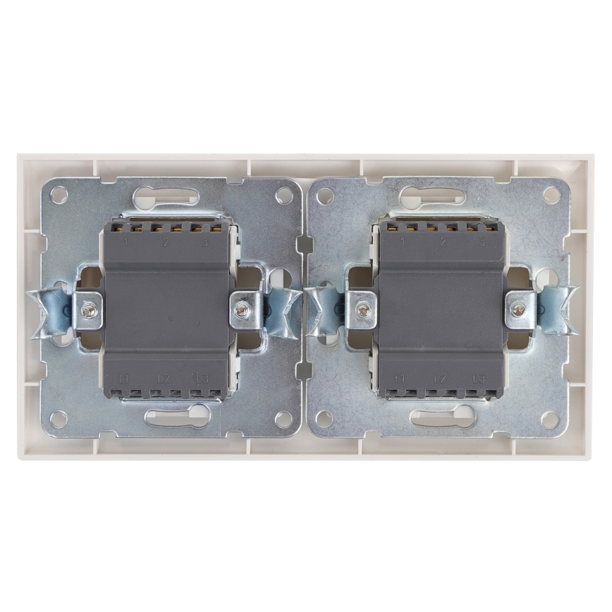 Aigostar - SET 2x Hausschalter 2-Tasten 250V/10A