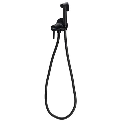 Aqualine - Bidetarmatur mit Brause für Unterputzmontage matt schwarz