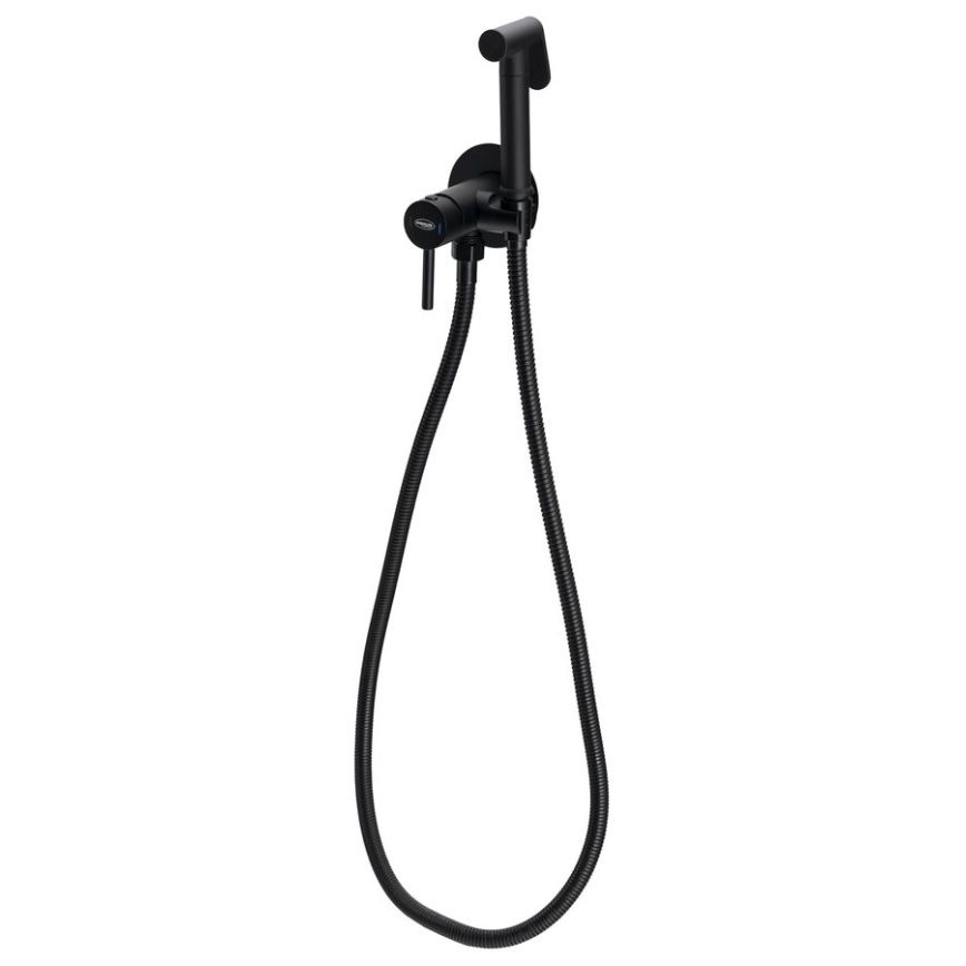 Aqualine - Bidetarmatur mit Brause für Unterputzmontage matt schwarz