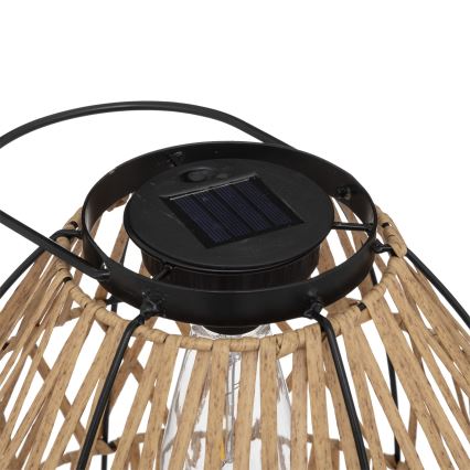 Atmosphera - LED-Solarleuchte ESHA LED/1,2V 800 mAh IP44