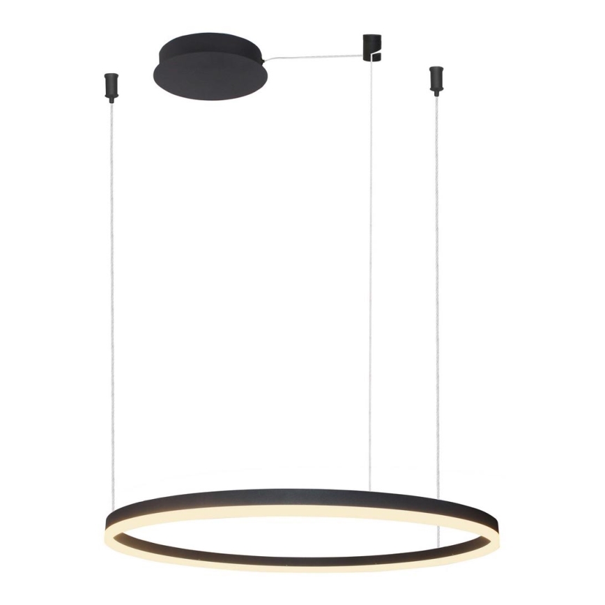 Azzardo AZ4960 - LED dimmbare Hängeleuchte an Kabel HALO LED/54W/230V Ø 80 cm schwarz