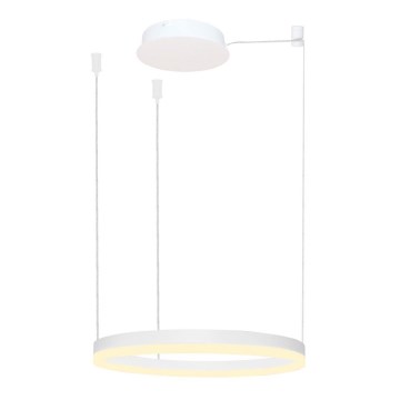 Azzardo AZ4967 - LED dimmbare Hängeleuchte an Kabel HALO LED/47W/230V Ø 60 cm weiß