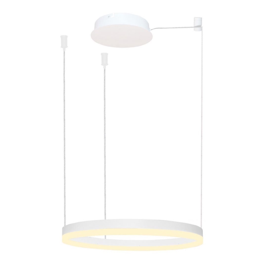 Azzardo AZ4967 - LED dimmbare Hängeleuchte an Kabel HALO LED/47W/230V Ø 60 cm weiß