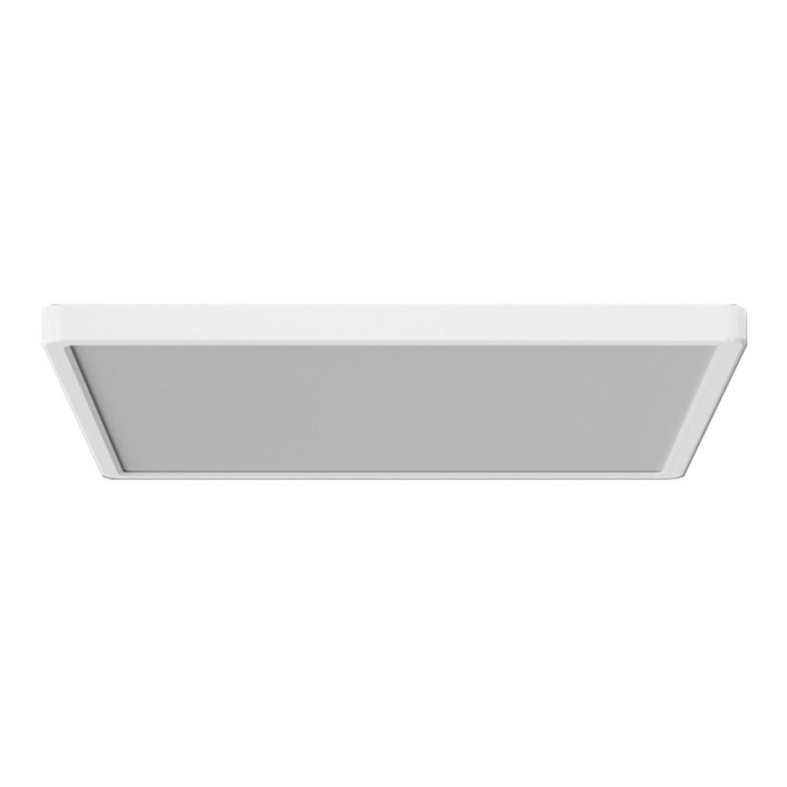 Azzardo AZ5373 - LED dimmbares Deckenleuchte PANKA LED/45W/230V IP40 weiß