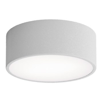 Badezimmer-Deckenleuchte CLEO mit Sensor, 1x E27/24W/230V, Ø 20 cm, IP54, grau