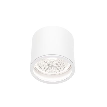 Badezimmerstrahler CHLOE AR111 1xGU10/12W/230V IP65 rund weiß