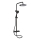 BATH DELUXE 31-120-07-02-00 - Duschset mit Thermostatarmatur DRAGOR matt schwarz