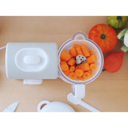 Beaba - 2-in-1 Dampfgarer BABYCOOK EXPRESS grau
