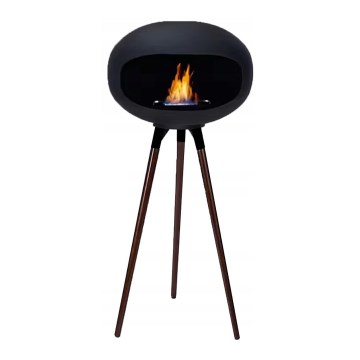 Bioethanol-Kamin TOKIO 45x100 cm 2kW schwarz