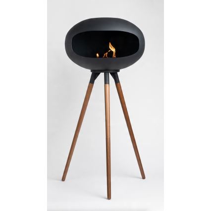 Bioethanol-Kamin TOKIO 45x100 cm 2kW schwarz