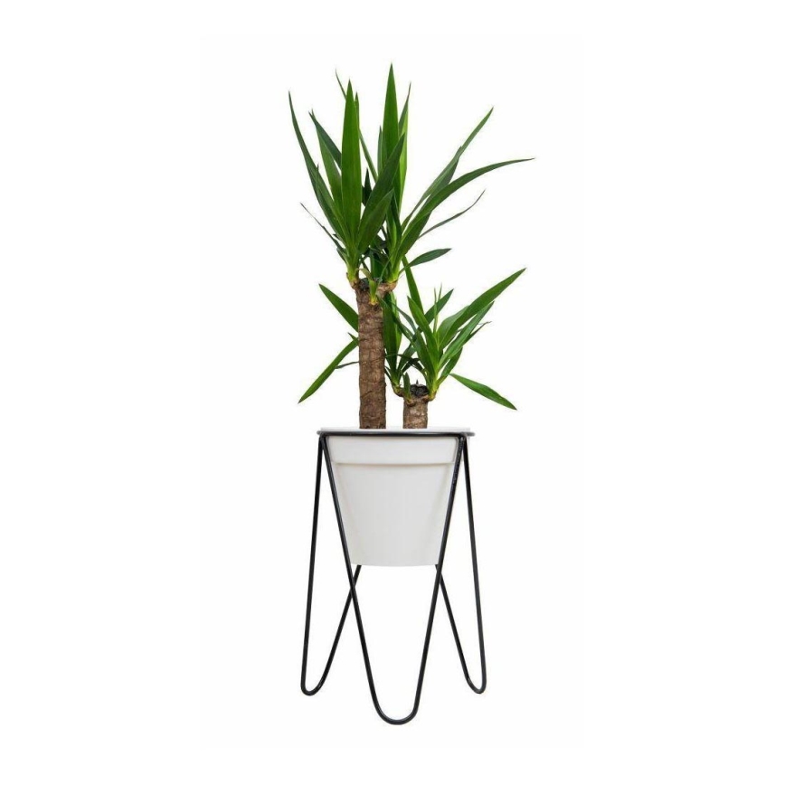 Blumentopfständer LOFT 50x30 cm Schwarz