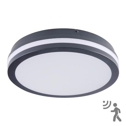 Brilagi - LED Außenleuchte mit Sensor BENE LED/24W/230V Ø 26 cm Anthrazit IP54