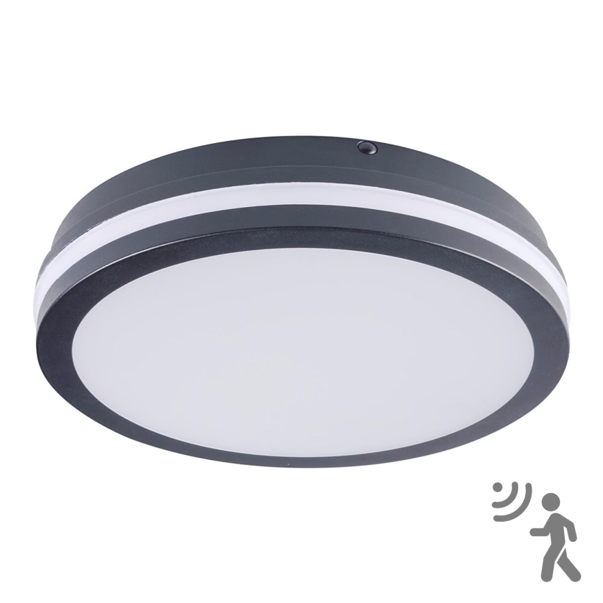 Brilagi - LED Außenleuchte mit Sensor BENE LED/24W/230V Ø 26 cm Anthrazit IP54
