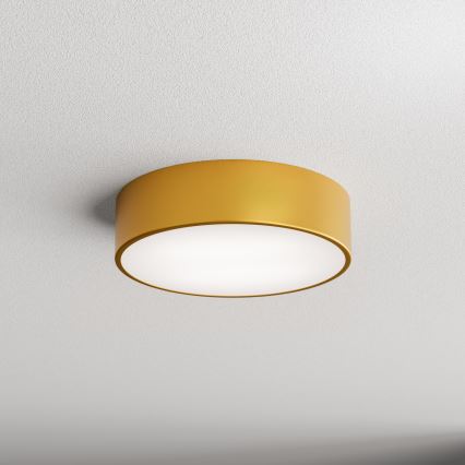Brilagi - Deckenleuchte für Badezimmer CLARE 2xE27/24W/230V d 30 cm IP54 golden