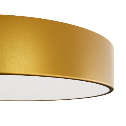 Brilagi - Deckenleuchte für Badezimmer CLARE 2xE27/24W/230V d 30 cm IP54 golden