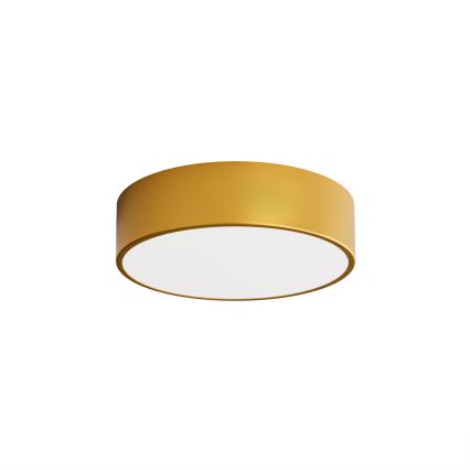 Brilagi - Deckenleuchte für Badezimmer CLARE 2xE27/24W/230V d 30 cm IP54 golden