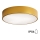 Brilagi - Deckenleuchte für Badezimmer CLARE 2xE27/24W/230V d 40 cm IP54 golden