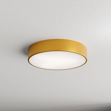 Brilagi - Deckenleuchte für Badezimmer CLARE 2xE27/24W/230V d 40 cm IP54 golden