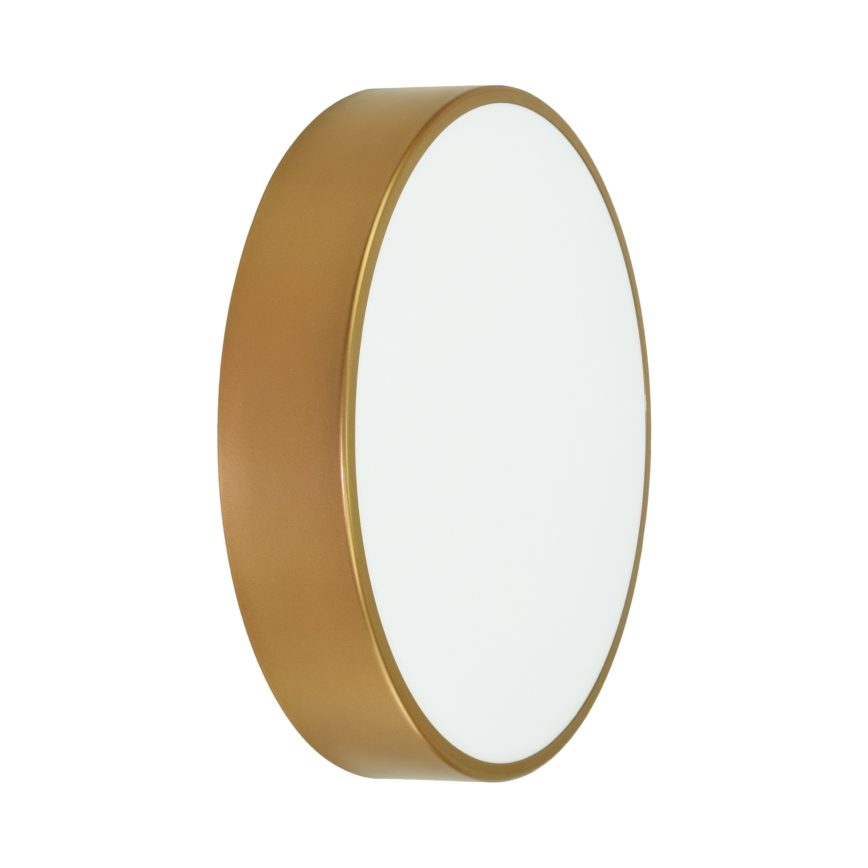 Brilagi - Deckenleuchte für Badezimmer CLARE 2xE27/24W/230V d 40 cm IP54 golden