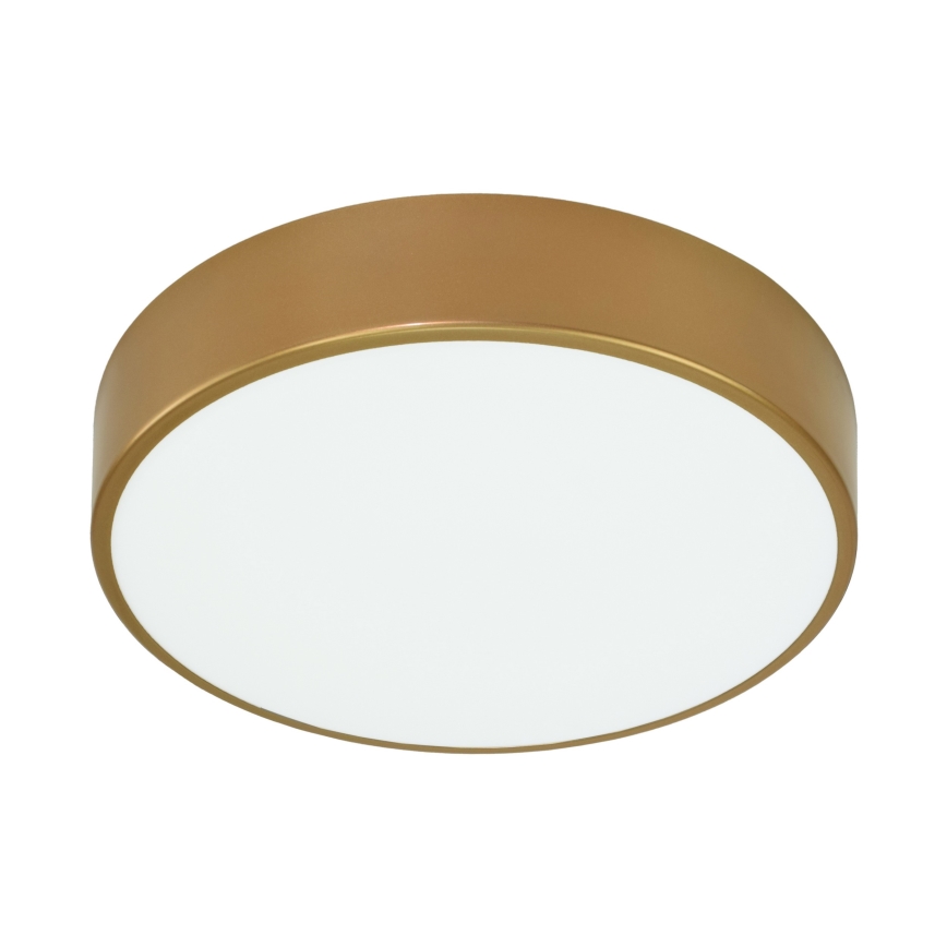 Brilagi - Deckenleuchte für Badezimmer CLARE 2xE27/24W/230V d 40 cm IP54 golden