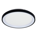 Brilagi - Dimmbare LED-Deckenleuchte FALCON SLIM LED/42W/230V 3000-6500K Ø 50 cm schwarz + Fernbedienung