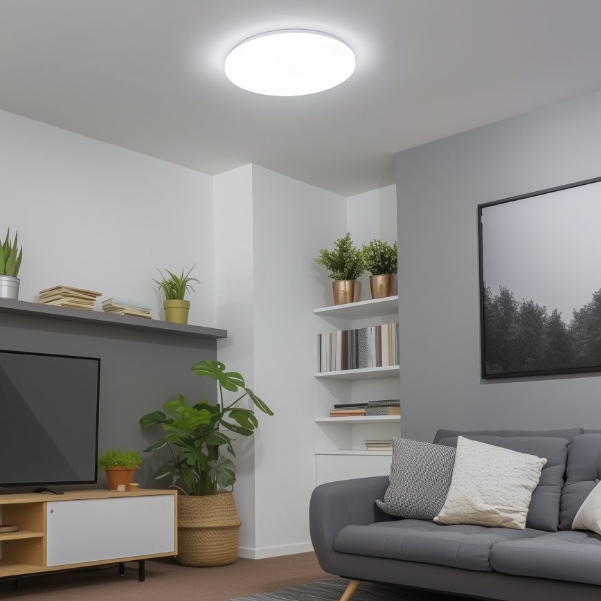 Brilagi – Dimmbare LED-Deckenleuchte SMART LED/24W/230V 2700-6500K Wi-Fi Tuya + Fernbedienung