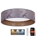 Brilagi – Dimmbare LED-Deckenleuchte VELVET SMART LED/24W/230V d 45 cm 2700-6500K Wi-Fi Tuya grau/golden + Fernbedienung