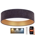 Brilagi – Dimmbare LED-Deckenleuchte VELVET SMART LED/36W/230V d 55 cm 2700-6500K Wi-Fi Tuya grau/golden + Fernbedienung