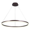 Brilagi - Dimmbare LED-Hängeleuchte CIRCLE LED/55W/230V 3000-6500K braun + Fernbedienung