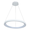 Brilagi - Dimmbare LED-Pendelleuchte an Seil FALCON SLIM LED/42W/230V 3000-6500K Ø 50 cm weiß + Fernbedienung