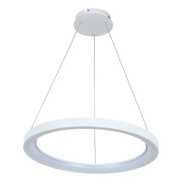 Brilagi - Dimmbare LED-Pendelleuchte an Seil FALCON SLIM LED/42W/230V 3000-6500K Ø 50 cm weiß + Fernbedienung