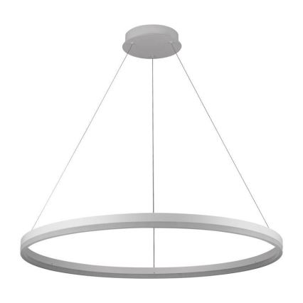 Brilagi - dimmbare LED-Hängeleuchte am Seil CIRCLE LED/55W/230V 3000-6500K + Fernbedienung