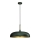 Brilagi - Hängeleuchte ABRAHAM 1xE27/60W/230V d 45 cm grün