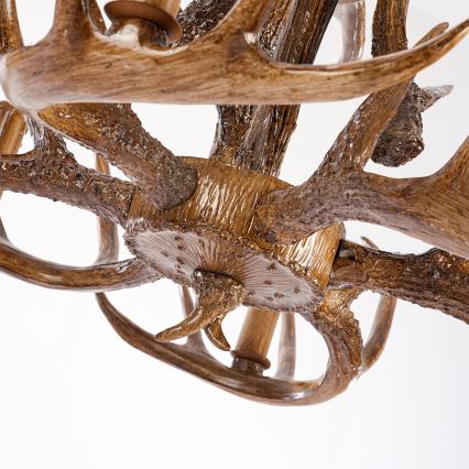 Brilagi - Kronleuchter mit Kette DEER 6xE14/10W/230V pr. 102 cm