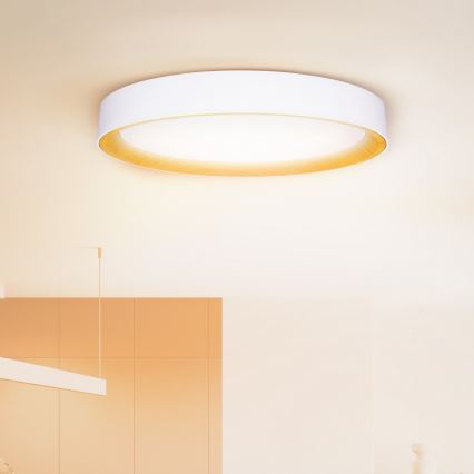 Brilagi - LED-dimmbare Deckenleuchte LARIOS LED/72W/230V weiß Ø 59 cm + Fernbedienung
