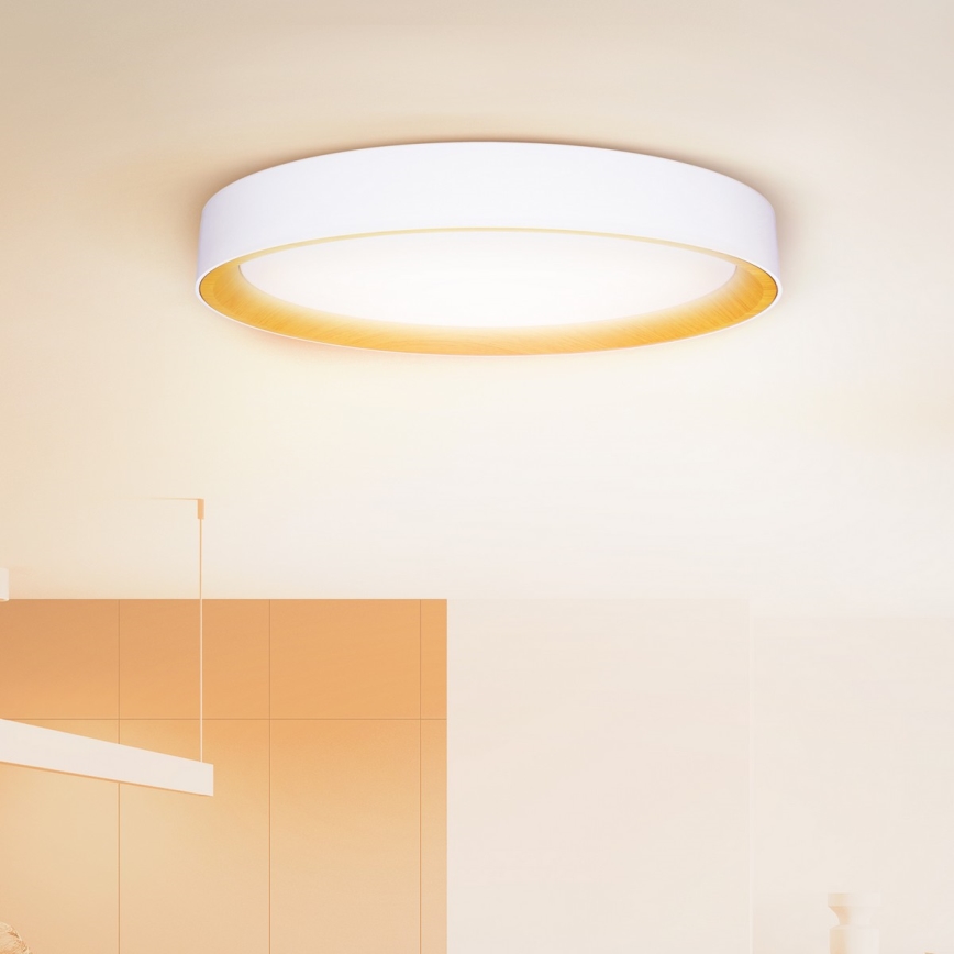 Brilagi - LED-dimmbare Deckenleuchte LARIOS LED/72W/230V weiß Ø 59 cm + Fernbedienung
