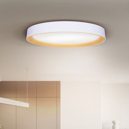 Brilagi - LED-dimmbare Deckenleuchte LARIOS LED/72W/230V weiß Ø 59 cm + Fernbedienung