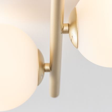 Brilagi - LED-Anbauleuchte MILLA 4xG9/3W/230V golden/weiß