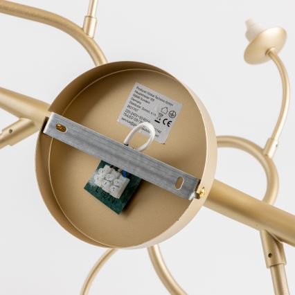 Brilagi - LED-Anbauleuchte MISTEL 15xG9/3W/230V golden/weiß