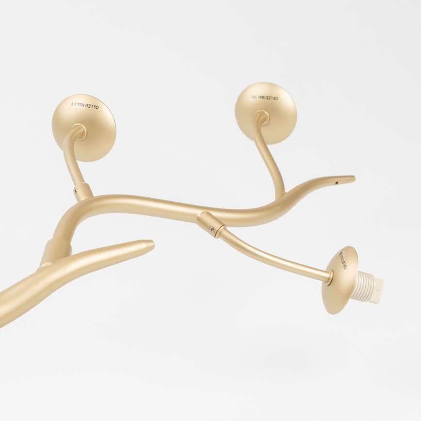 Brilagi - LED-Anbauleuchte MISTEL 6xG9/3W/230V golden