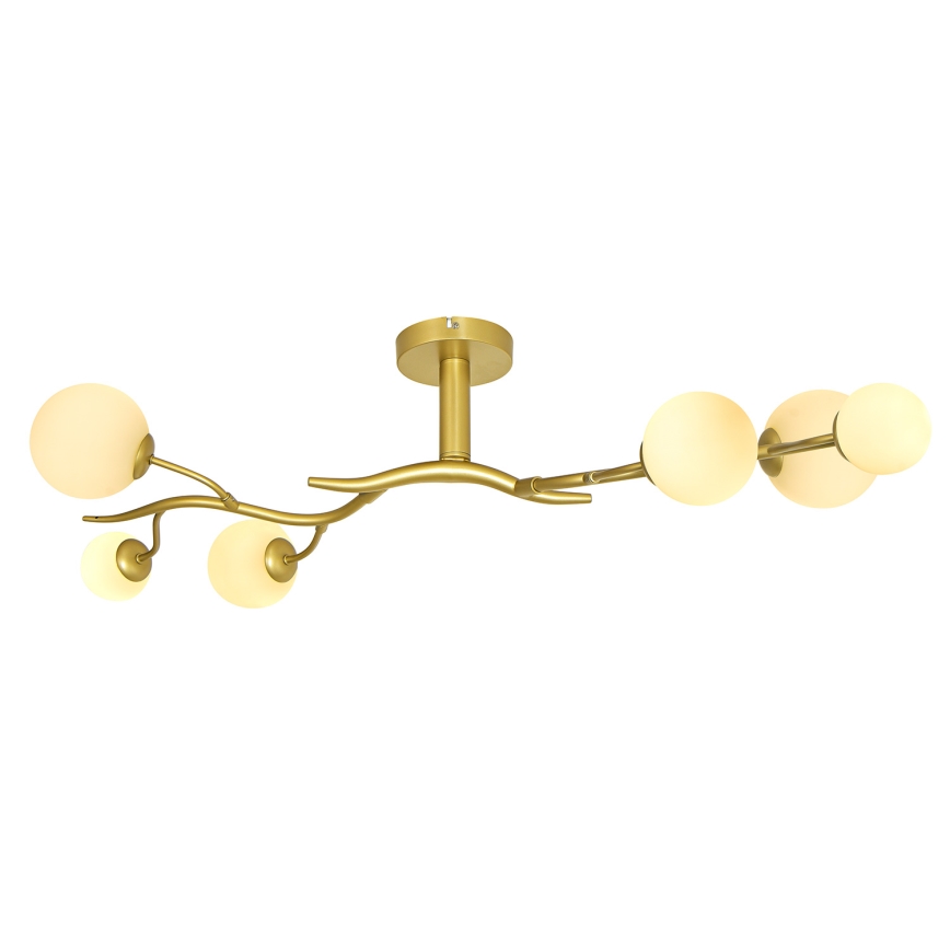 Brilagi - LED-Anbauleuchte MISTEL 6xG9/3W/230V golden/weiß