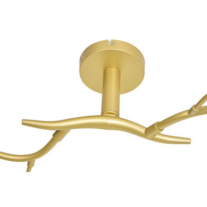 Brilagi - LED-Anbauleuchte MISTEL 6xG9/3W/230V golden/weiß