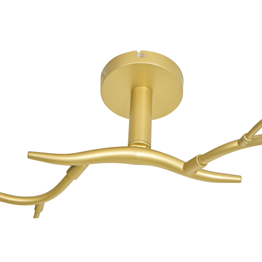 Brilagi - LED-Anbauleuchte MISTEL 6xG9/3W/230V golden/weiß