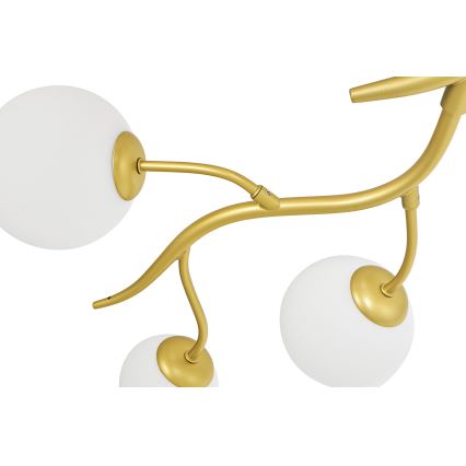 Brilagi - LED-Anbauleuchte MISTEL 6xG9/3W/230V golden/weiß
