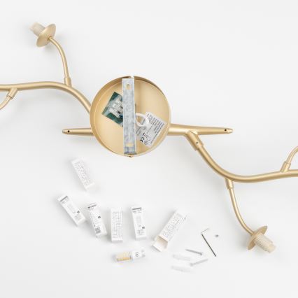 Brilagi - LED-Anbauleuchte MISTEL 6xG9/3W/230V golden/weiß